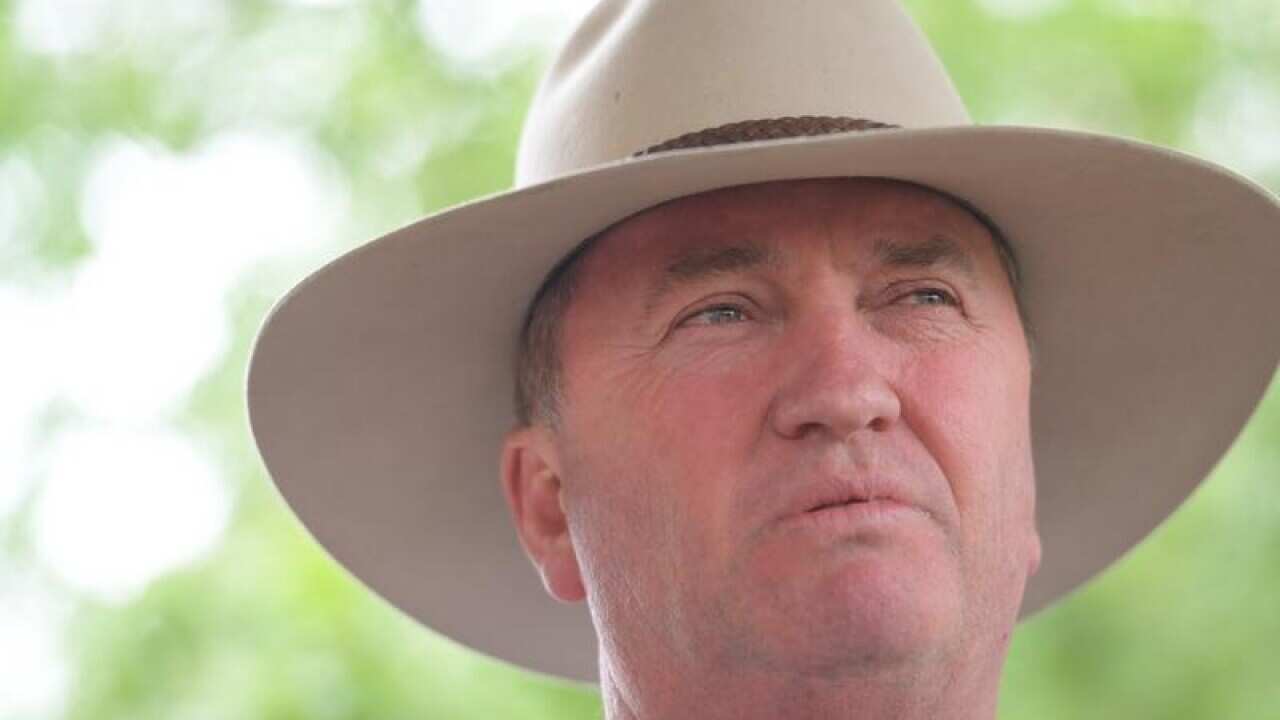 Deputy Prime Minister Barnaby Joyce
