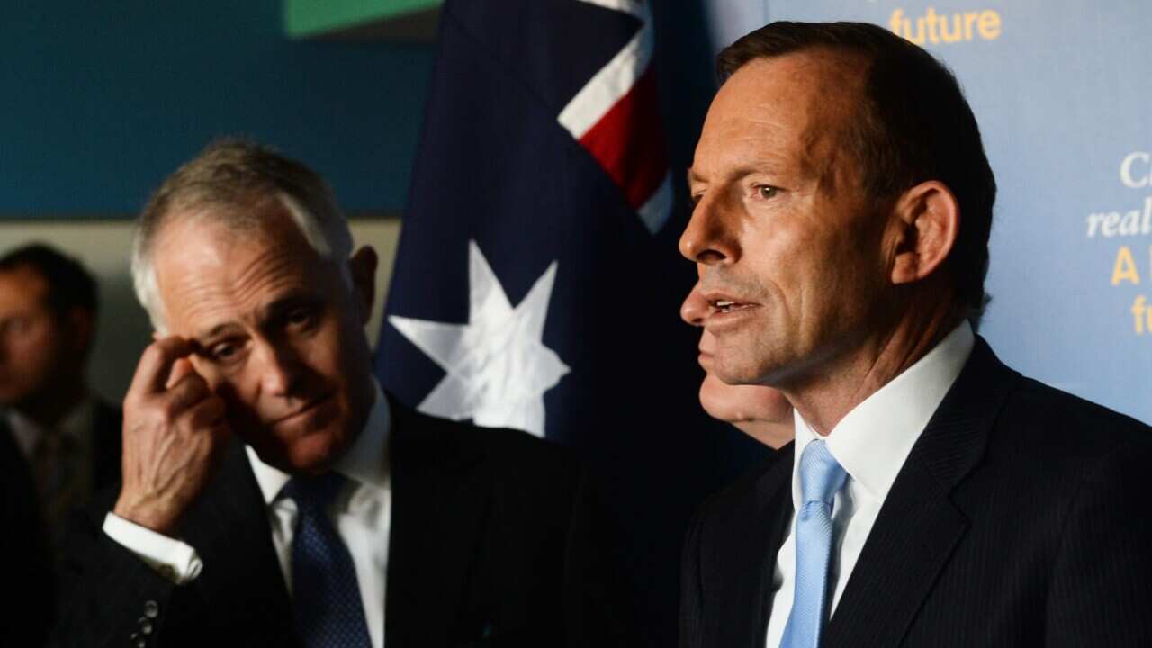 Abbott Turnbull