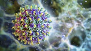 Nipah virus, illustration - stock illustration.