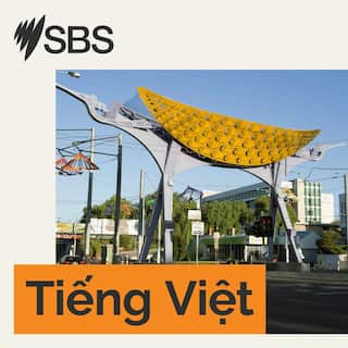 sbs_podcast_vietnamese_3000x3000.png