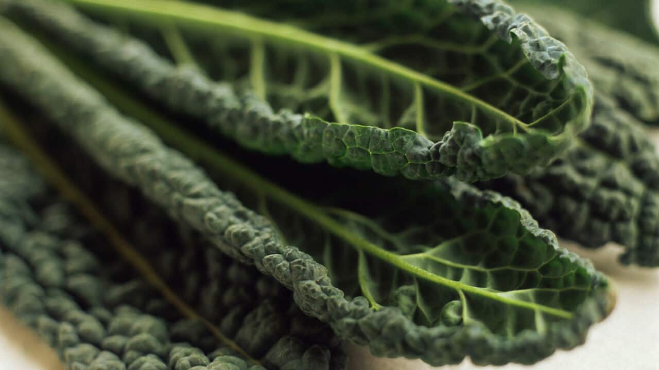 kale.jpg