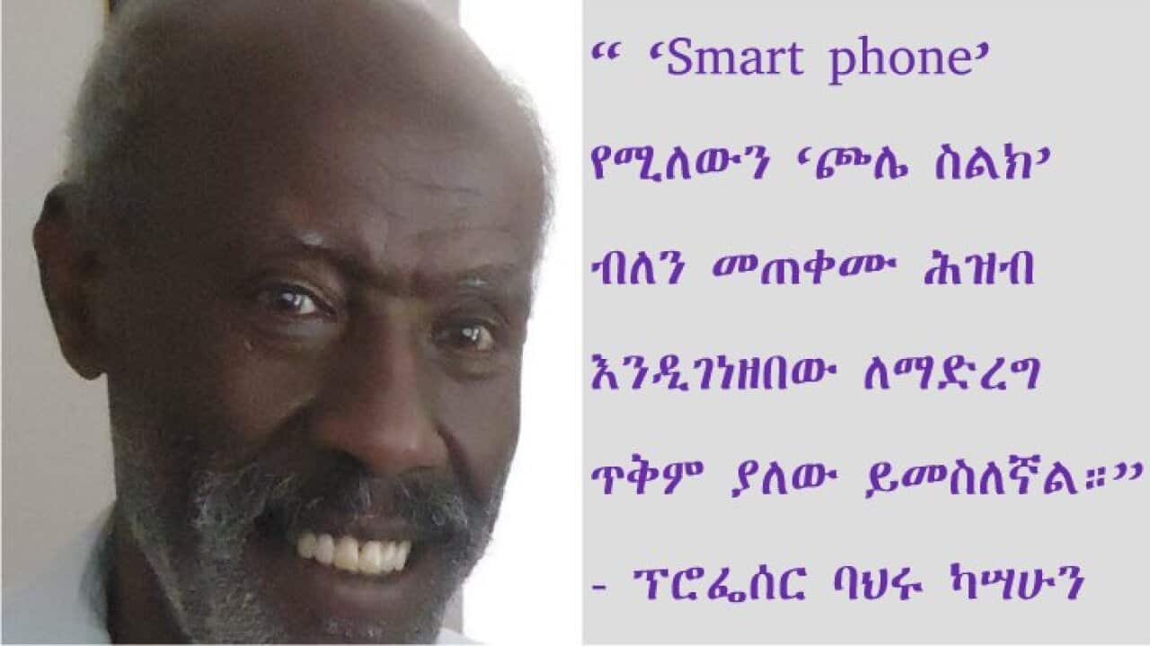 Interview with Prof Bahiru Kassahun