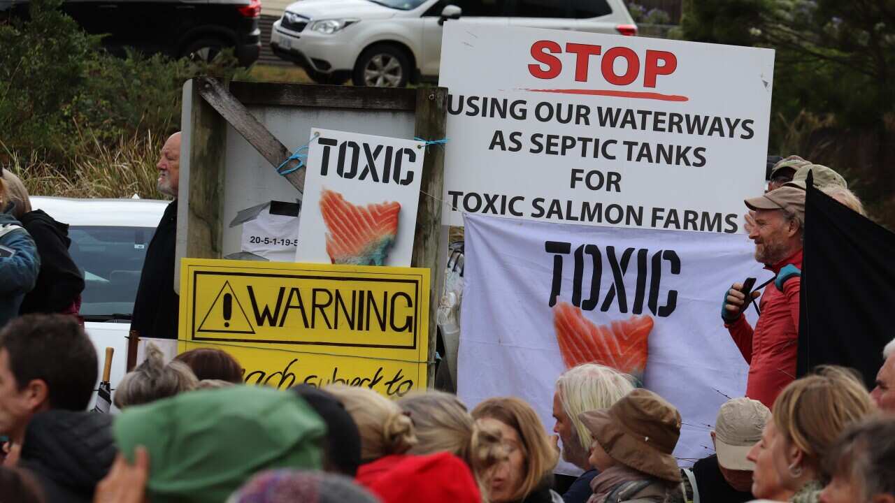 SALMON FARMING PROTEST TASMANIA