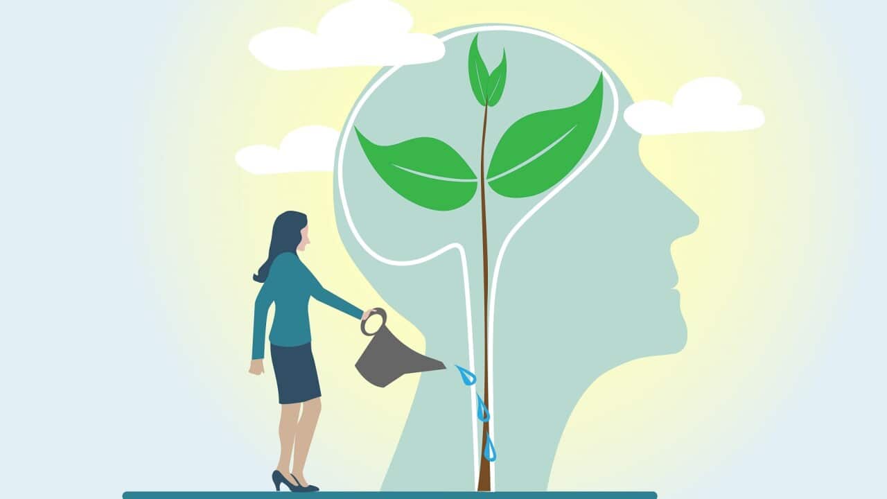 Mindset Concept.Watering plants with big brain growth mindset concept.