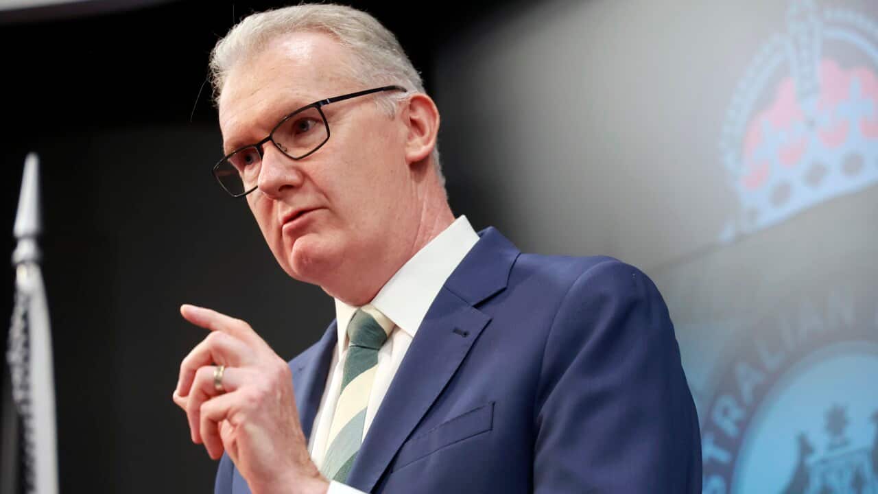 AFP BONDI TERROR INVESTIGATION