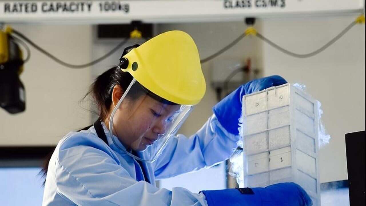 A blood-freezing technician.