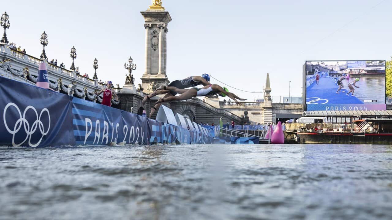 Olympic swimmers jumping into water, with a bridge behind them.