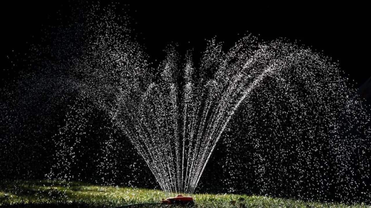 A sprinkler waters a garden