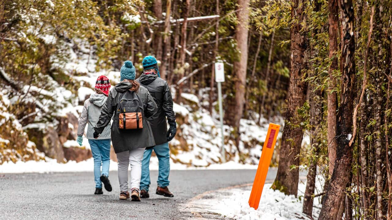 TASMANIA COLD WEATHER