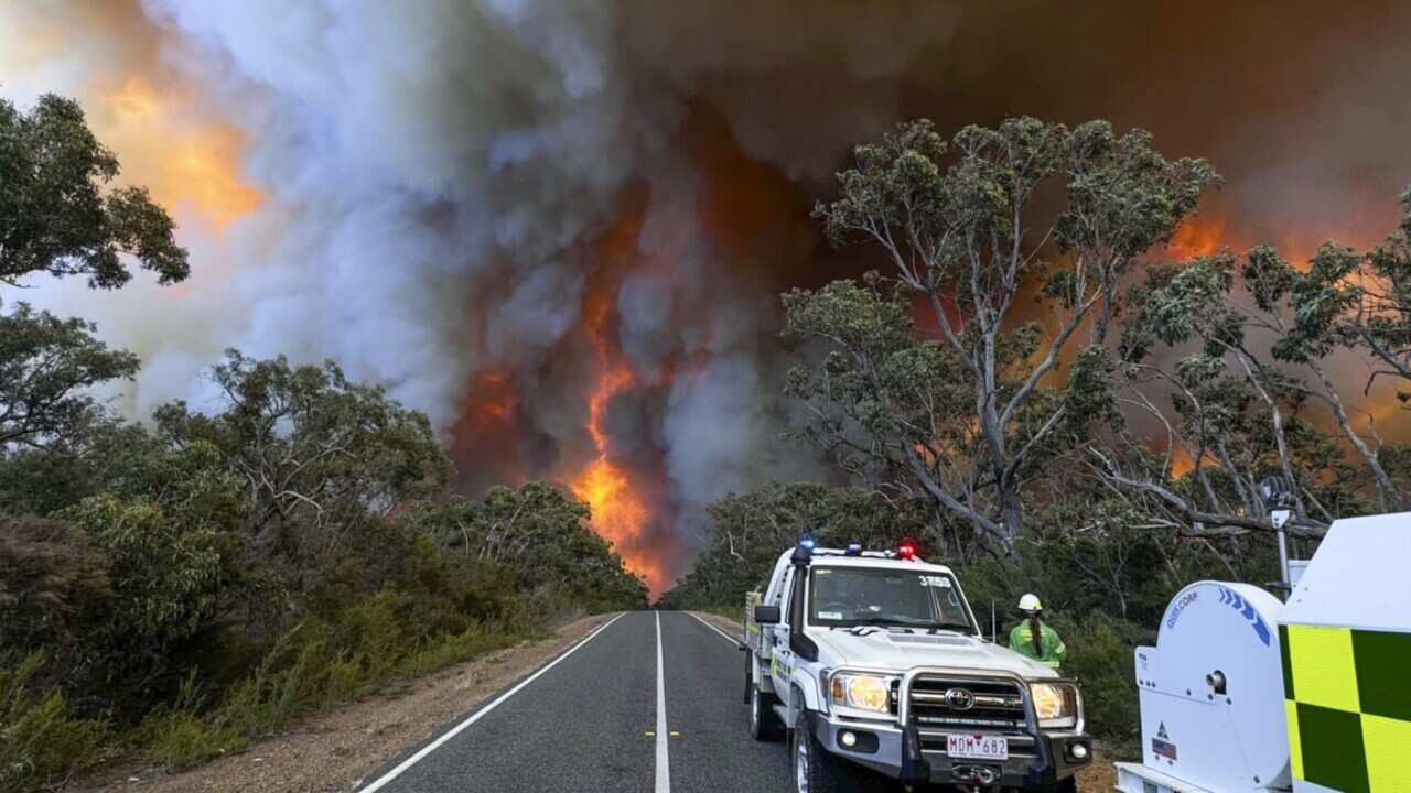 Australia Fires