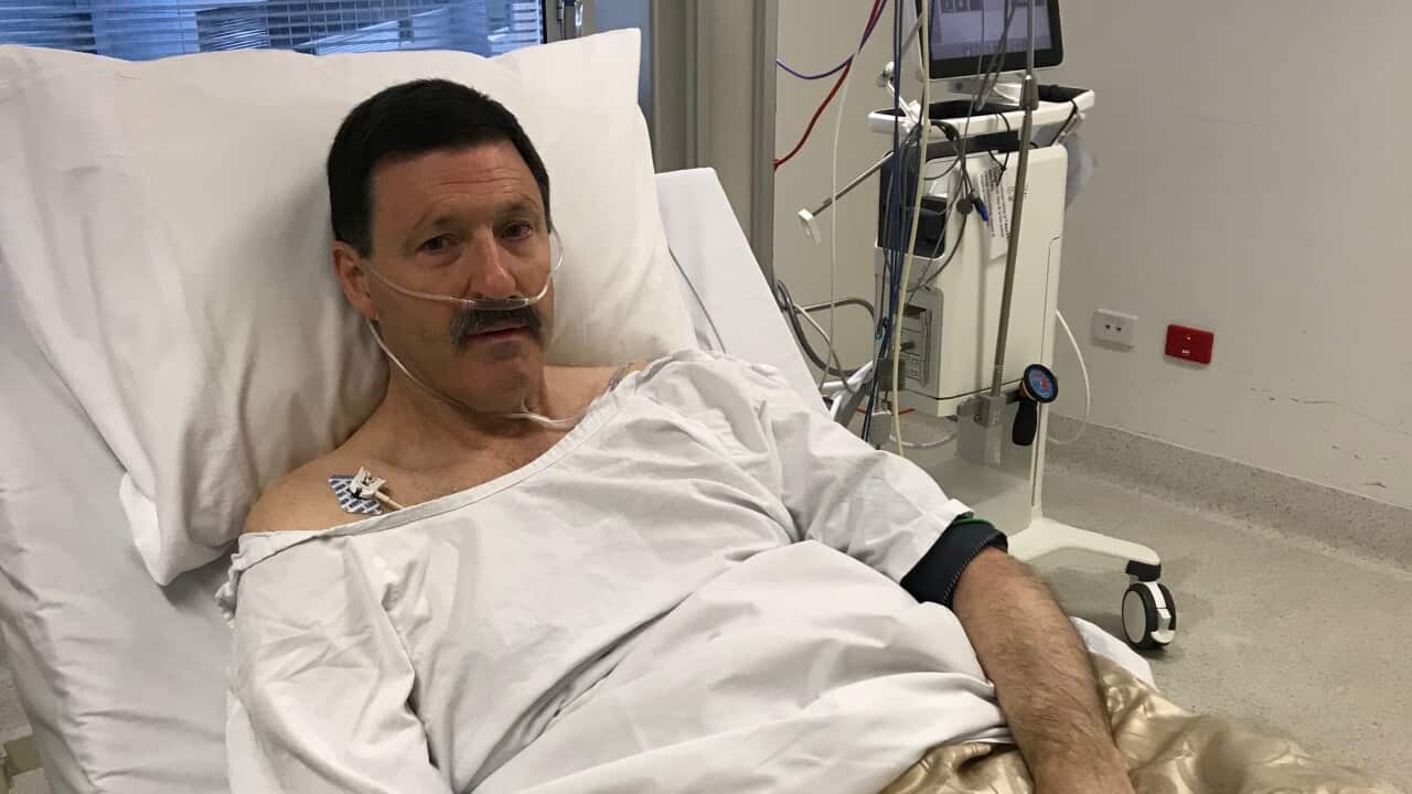 Labor MP Mike Kelly in hospital battling renal failure.