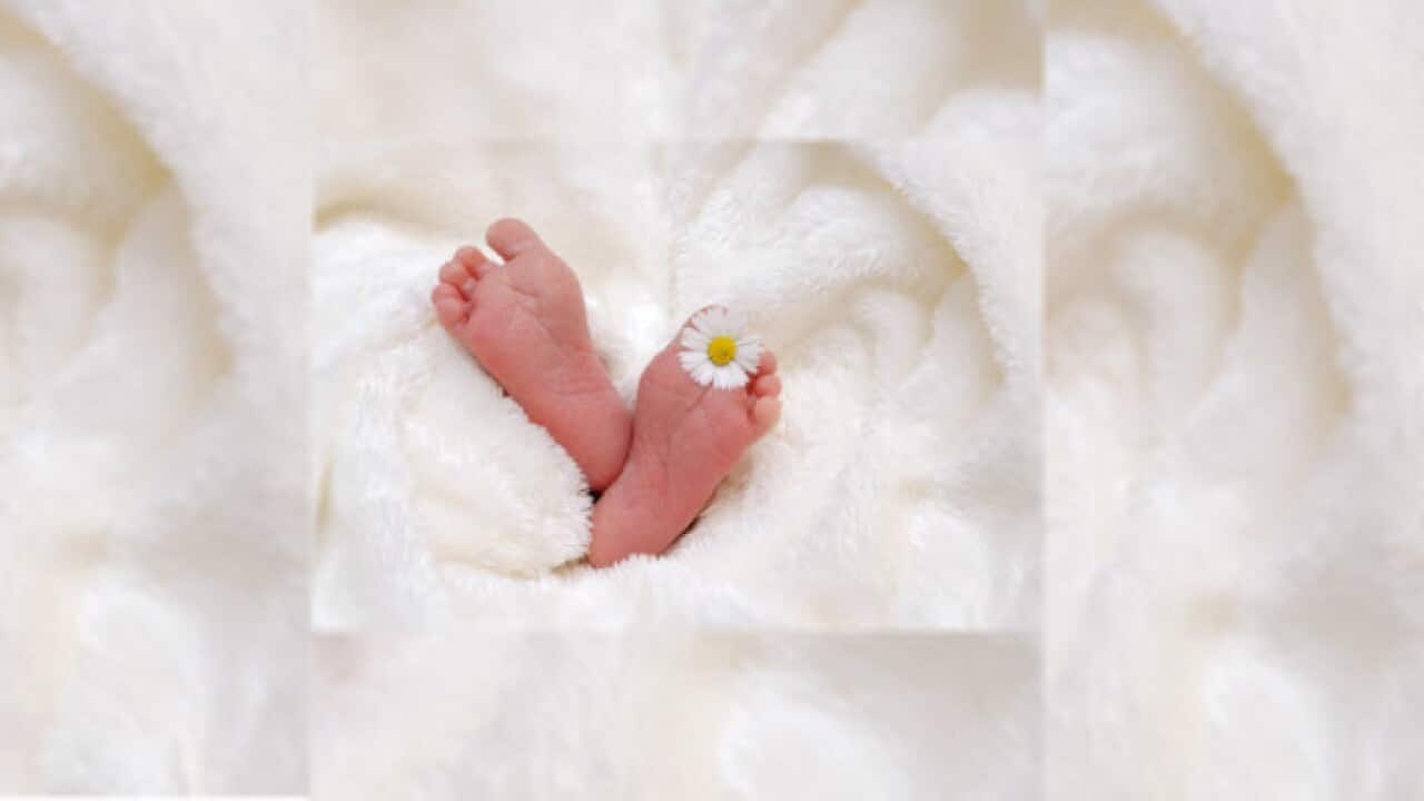 World Prematurity Day