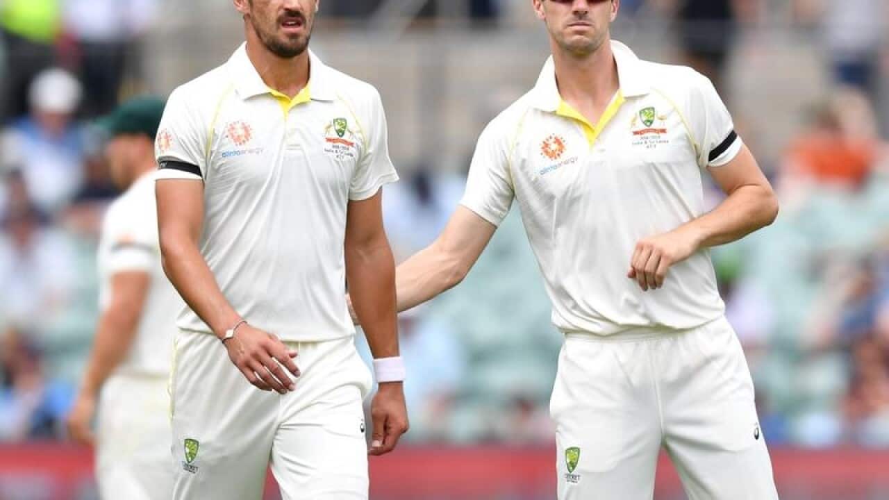 Mitchell Starc and Patrick Cummins