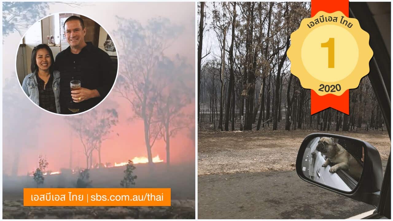 Image for read more article ''