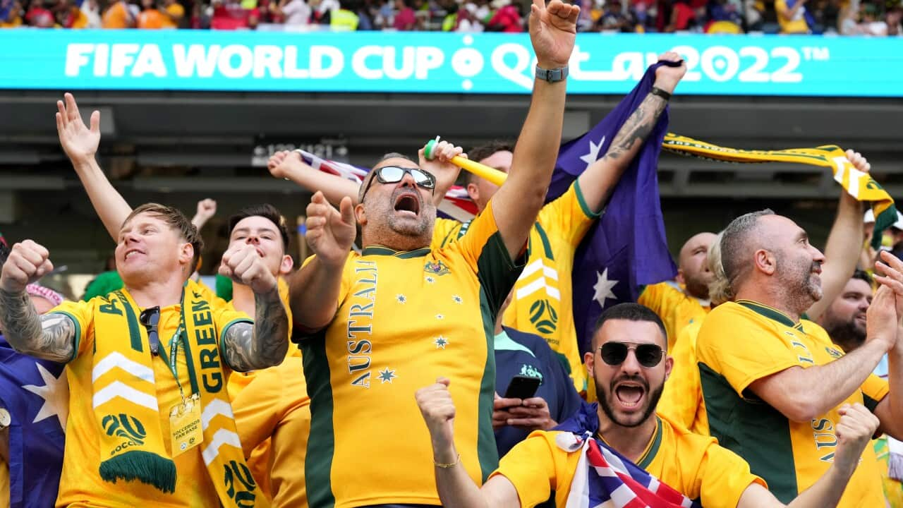 Australian fans in crowd at the Al Janoub Stadium in Al-Wakrah, Qatar.