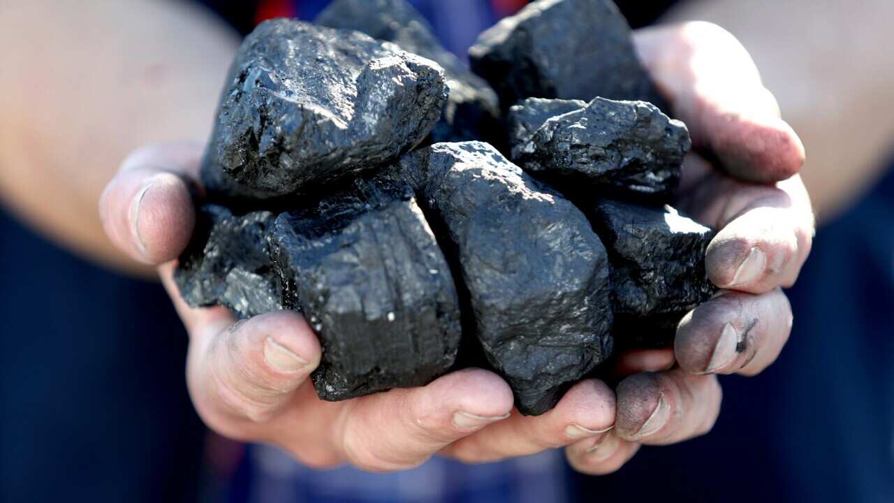 Pieces of coal in Adelaide