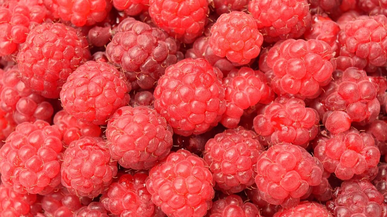 Raspberries