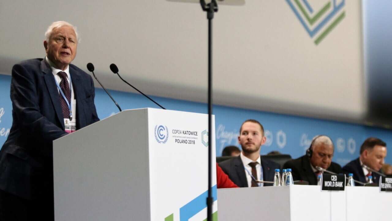British naturalist and TV personality David Attenborough speaks in the opening ceremony of the COP24 summit in Katowice, Poland
