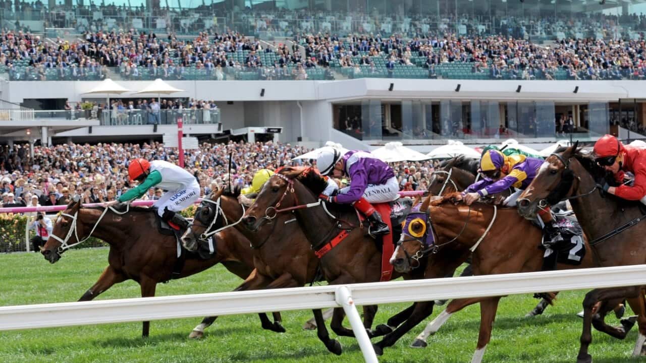 Image for read more article 'READ MORE'