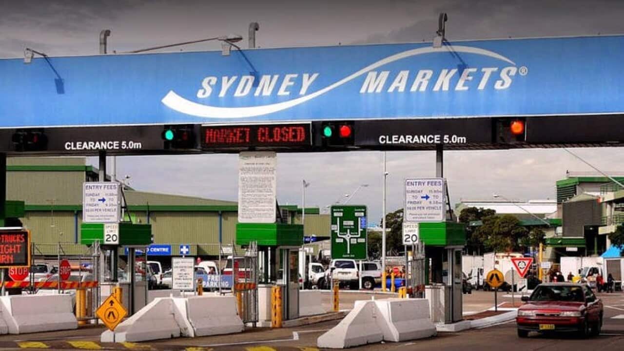 Sydney Market