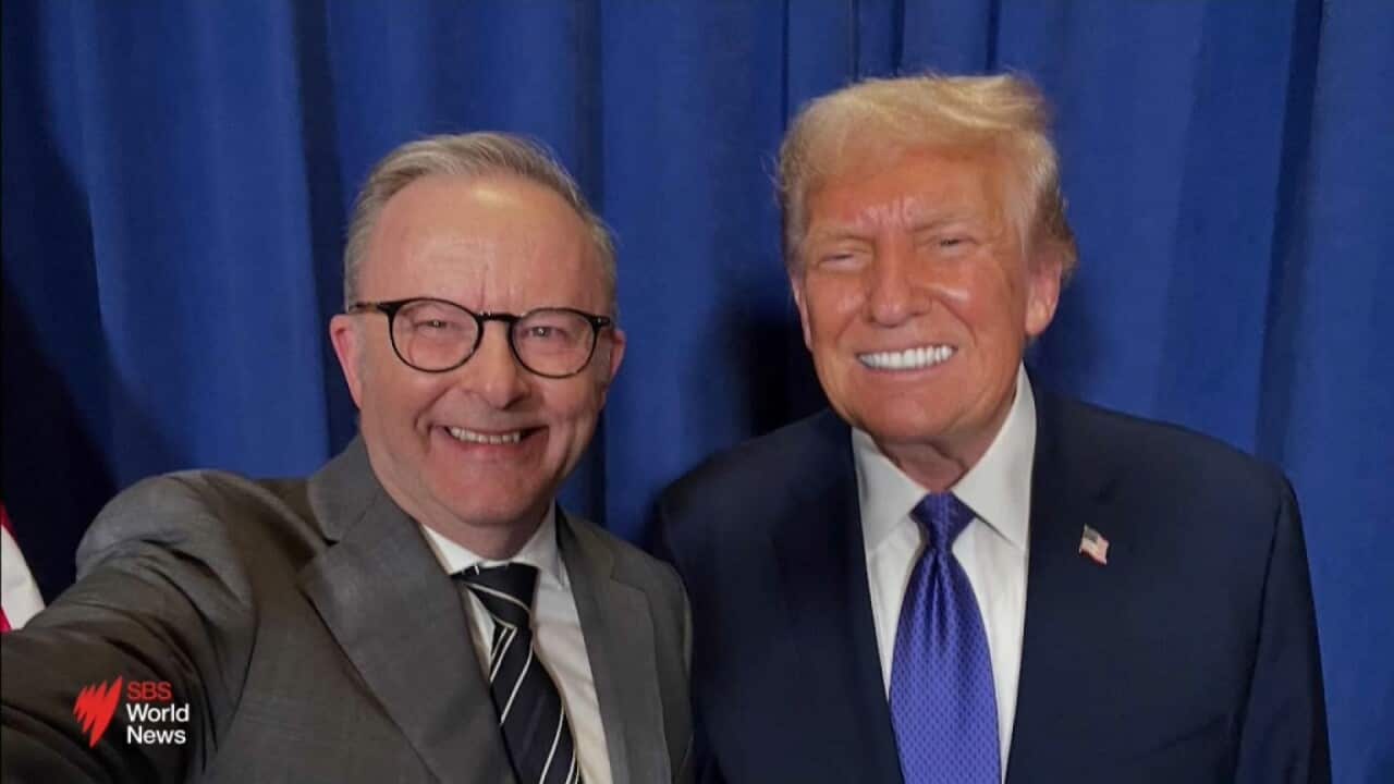 trump albo jpeg.jpg
