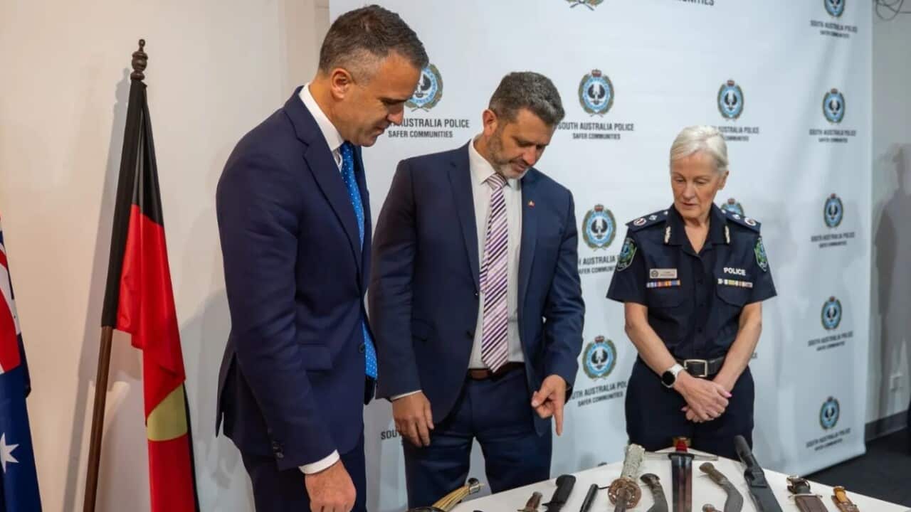 Premier Peter Malianuskas and Deputy Premier Kyam Maher inspect surrendered knives with Linda Williams, Deputy Commissioner of Police for South Australia