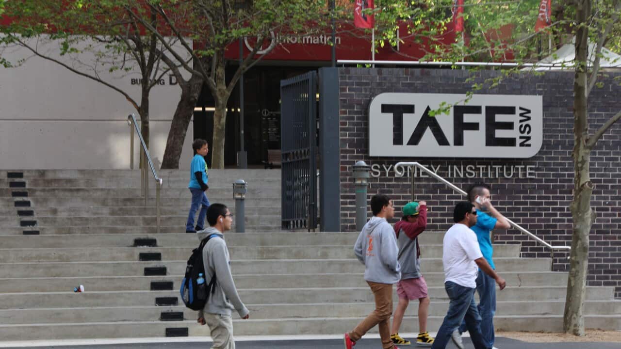 Image for read more article 'READ MORE'