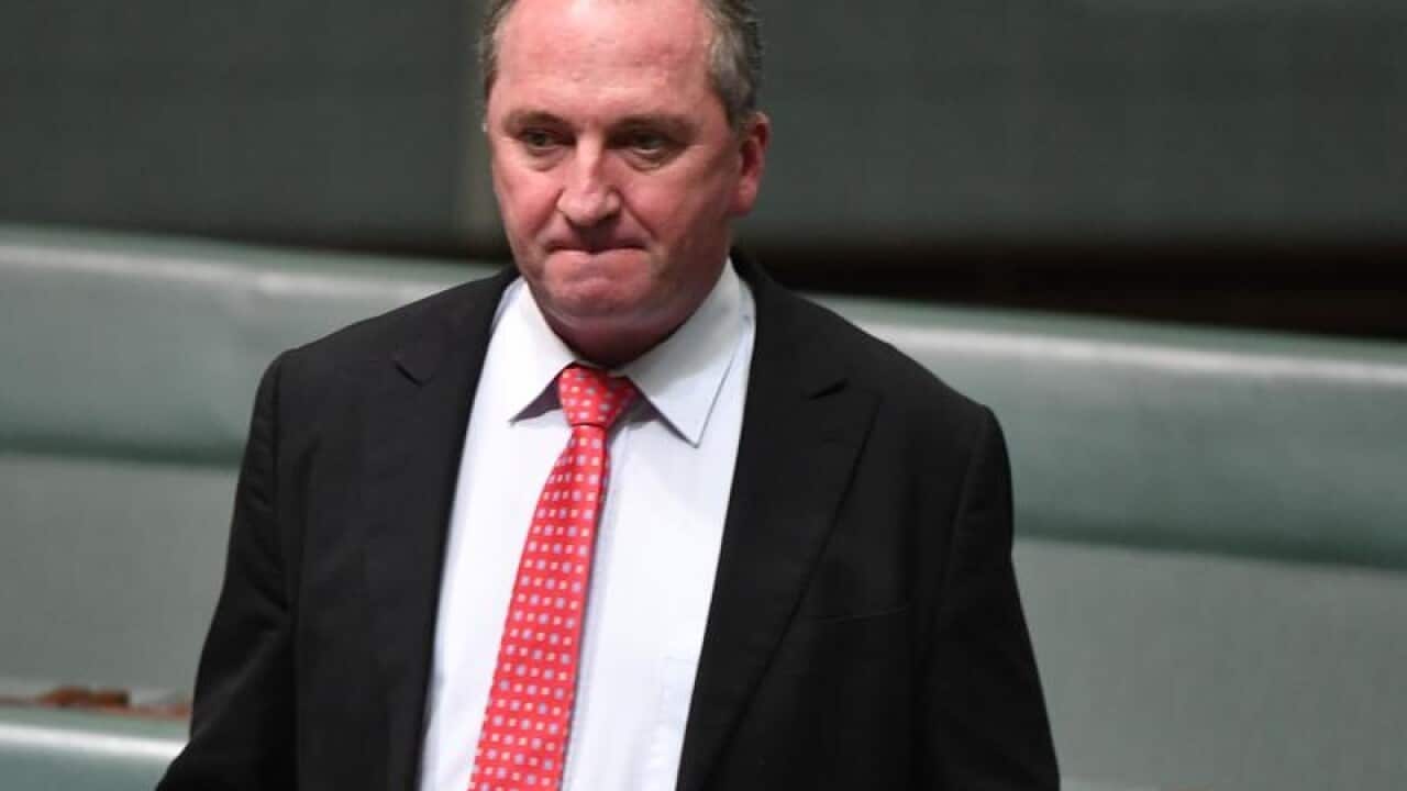File image of Barnaby Joyce in parliament.