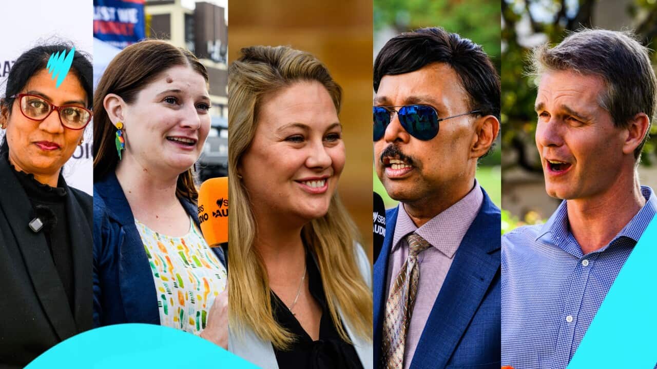 SBS Elex Candidates