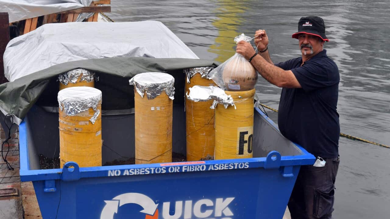 Fireworks Director Fortunato Foti holds a firework ahead of the New Year's Eve fireworks display