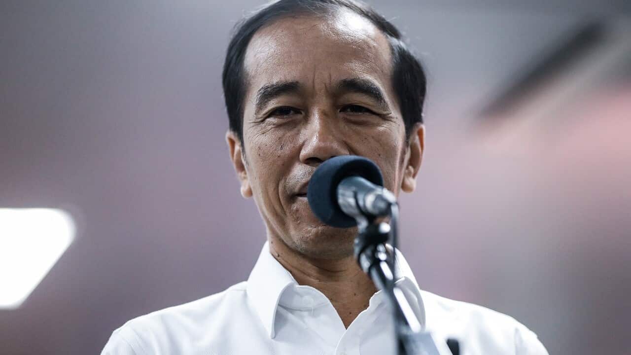 Indonesian President Joko Widodo has said he is willing to meet Papuan groups.