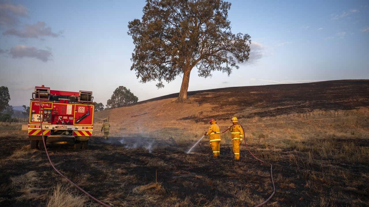 Victorian Bushfires in Australia - 10 Jan 2026