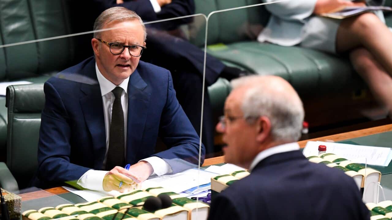 Australian Opposition Leader Anthony Albanese