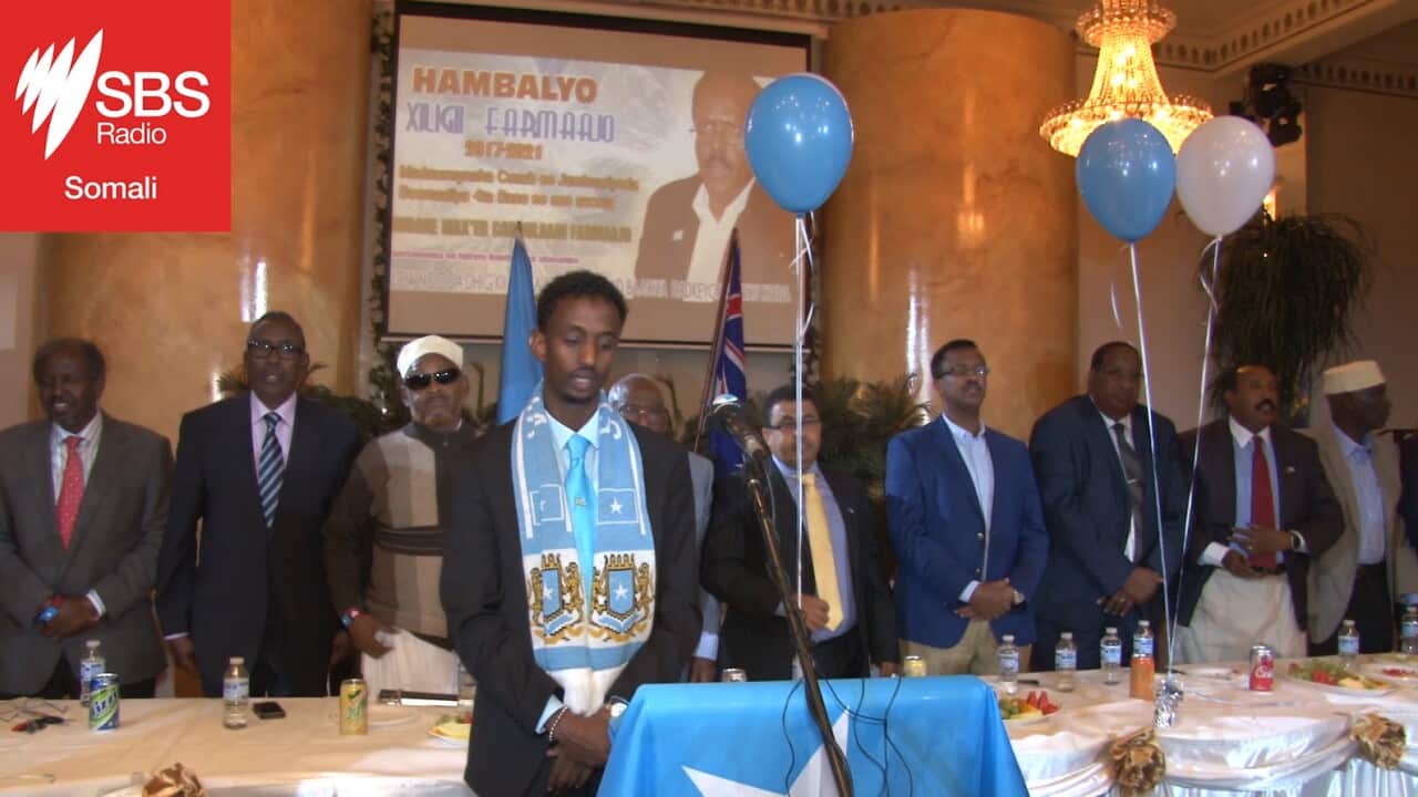 Xafladii Farmaajo