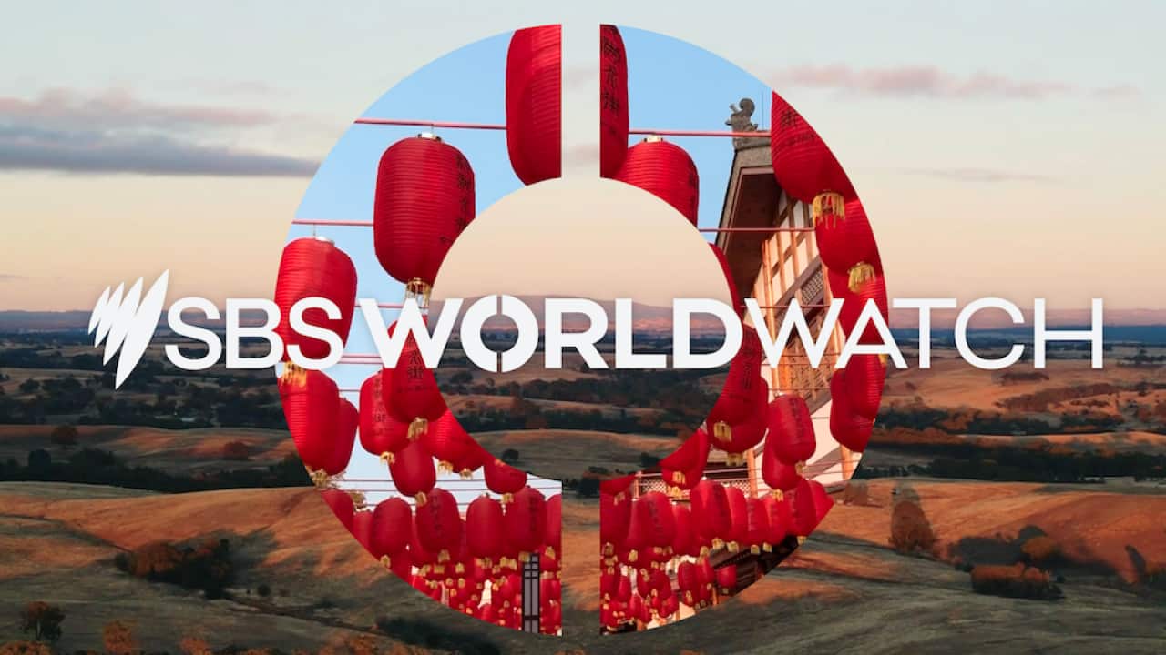 SBS WorldWatch, SBS's sixth free-to-air television channel, will launch on 23 May this year.