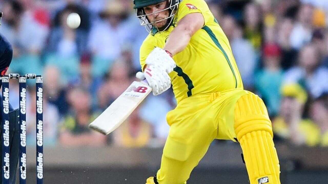 Aaron Finch batting