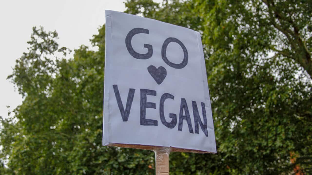 The London Animal Rights March