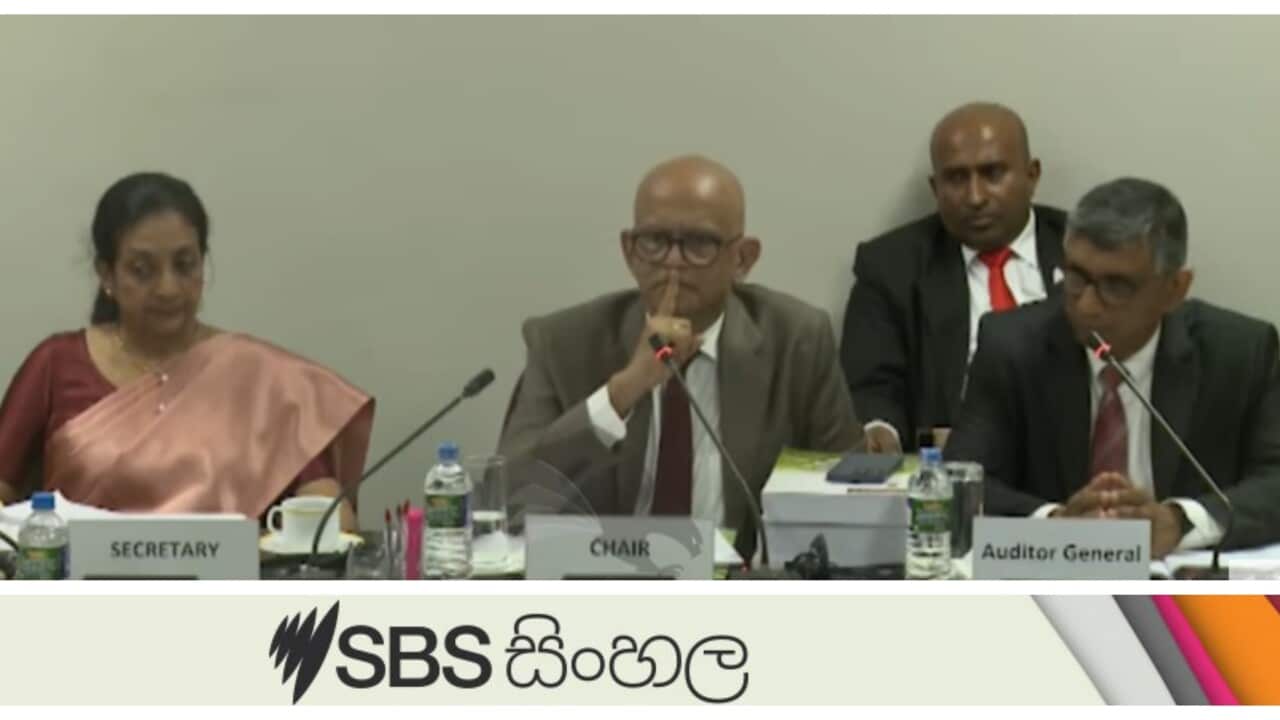 Doubt over a hand signal given by Coop Chairman during Coop Committee Cricket Inquiry