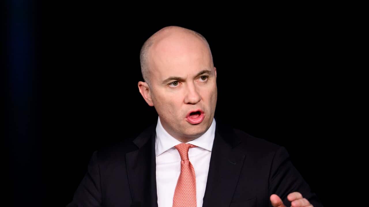 ‘Popping champagne corks’: Climate change boss slams Coalition for dumping net zero ‘Popping champagne corks’: Climate change boss slams Coalition for dumping net zero