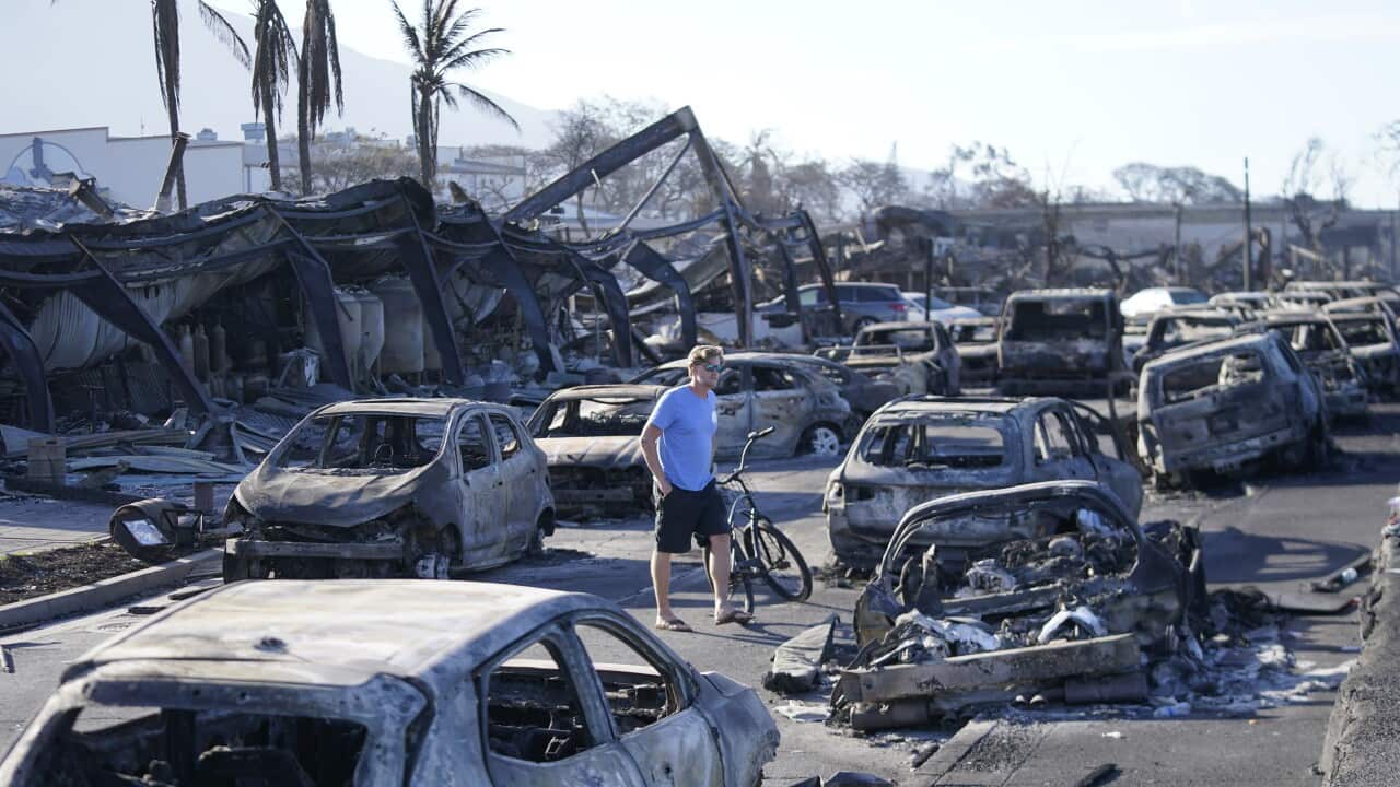 APTOPIX Hawaii Fires