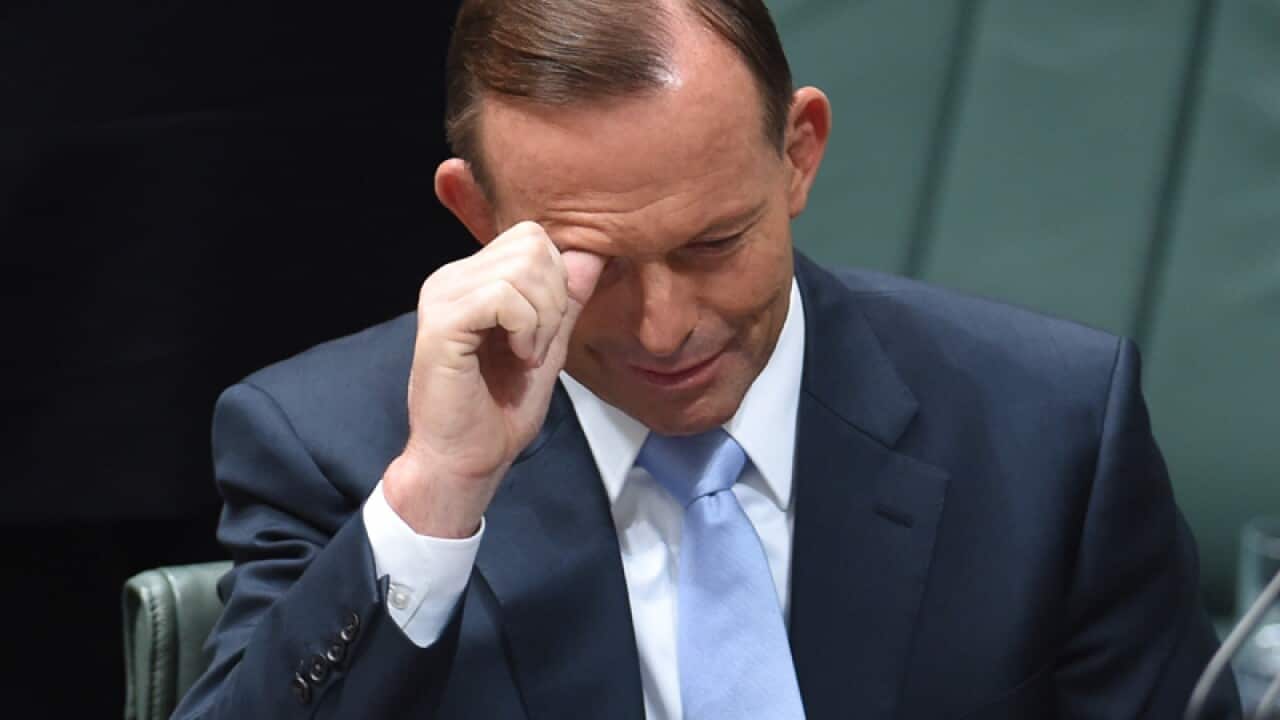 Tony Abbott at Question Time.