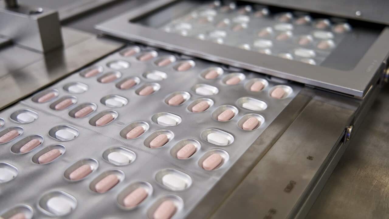 Pfizer COVID-19 pills.