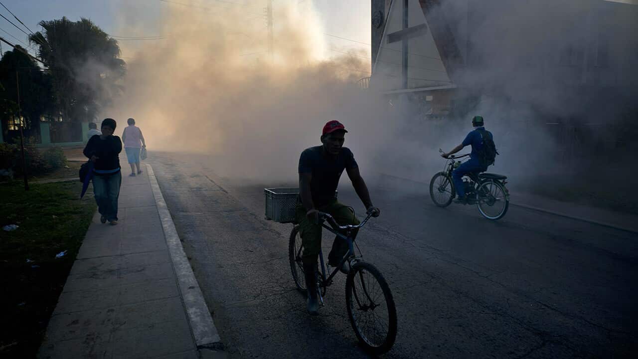 cuba zika
