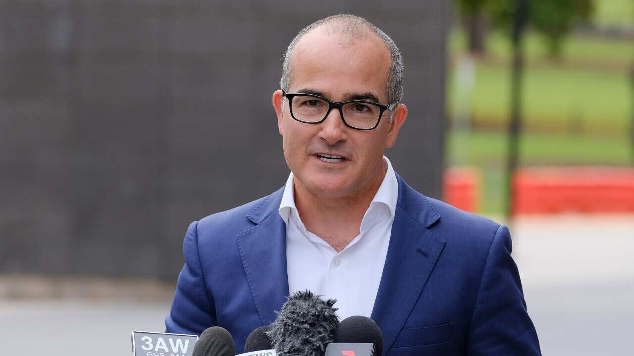 Acting Victorian Premier James Merlino