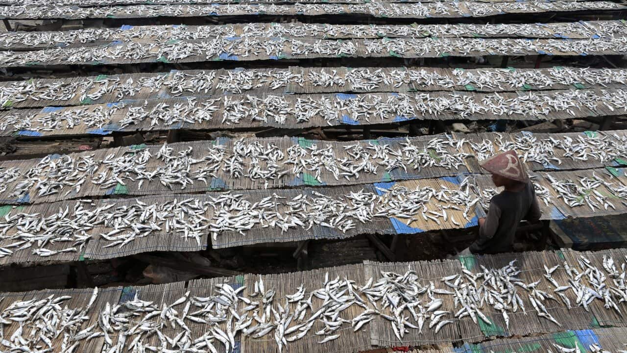 epaselect INDONESIA ECONOMY