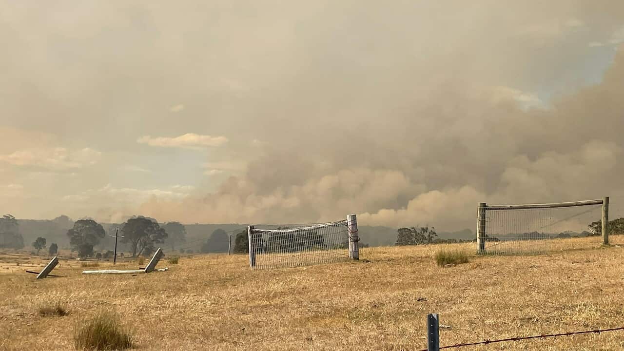 BUSHFIRES VICTORIA