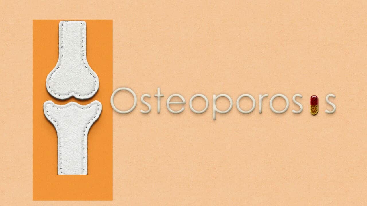 bones and osteoporosis as a medical and health concept, highlighting bone fragility, density loss, and skeletal deterioration commonly associated with aging and metabolic bone diseases.