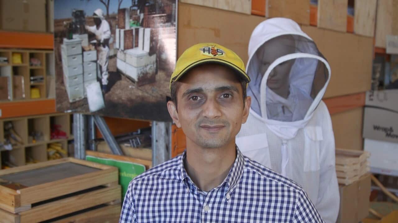 Atif Jamil, owner of Hornsby Beekeeping.