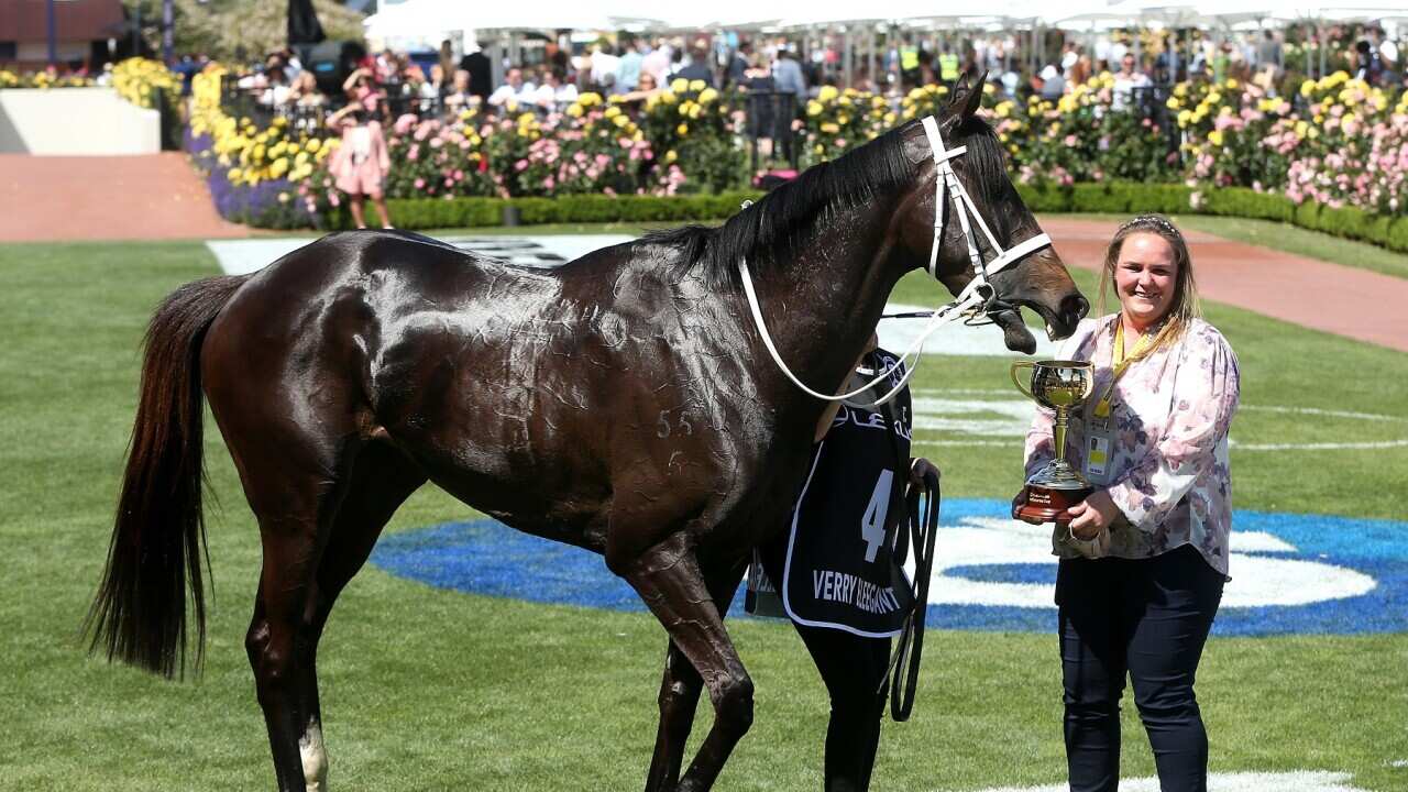 The Melbourne Cup and winner Verry Elleegant