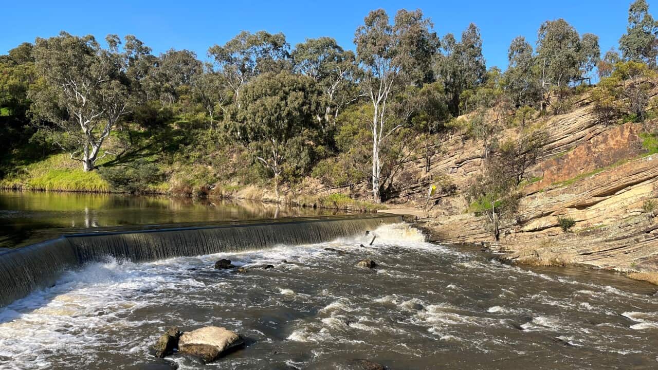 Image for read more article 'READ MORE'